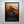 Load image into Gallery viewer, The Shawshank Redemption Signed Poster with COA
