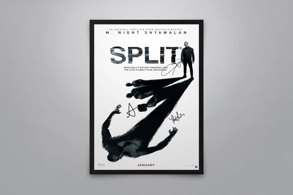 Split Signed Poster with COA