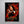 Load image into Gallery viewer, The Hunger Games: Catching Fire Signed Poster with COA
