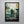 Load image into Gallery viewer, Extraction Signed Poster with COA
