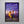 Load image into Gallery viewer, La La Land Signed Poster with COA
