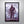 Load image into Gallery viewer, Noah Signed Poster with COA
