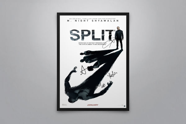 Split Signed Poster with COA