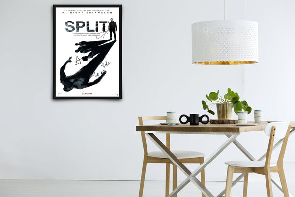 Split Signed Poster with COA