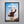 Load image into Gallery viewer, Ted Lasso Signed Poster with COA
