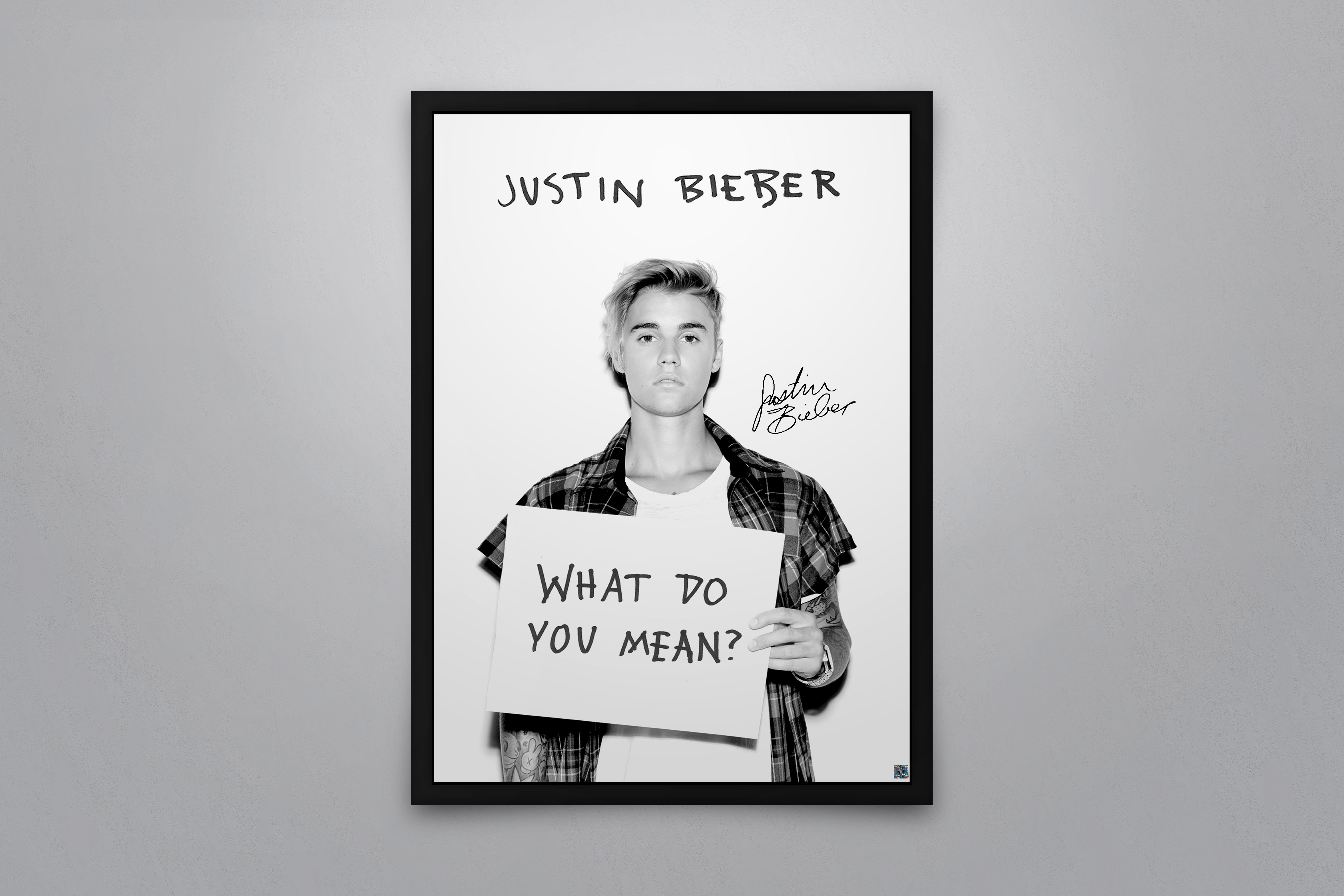 Justin Bieber - What Do You Mean? 